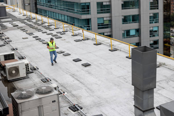 Best Skylight Installation and Repair  in Danville, VA