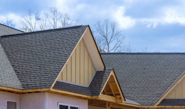 Best Roof Moss and Algae Removal  in Danville, VA
