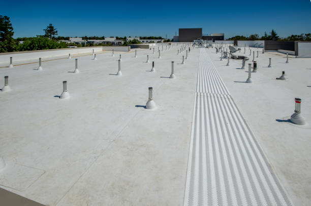 Best Roof Maintenance and Cleaning  in Danville, VA